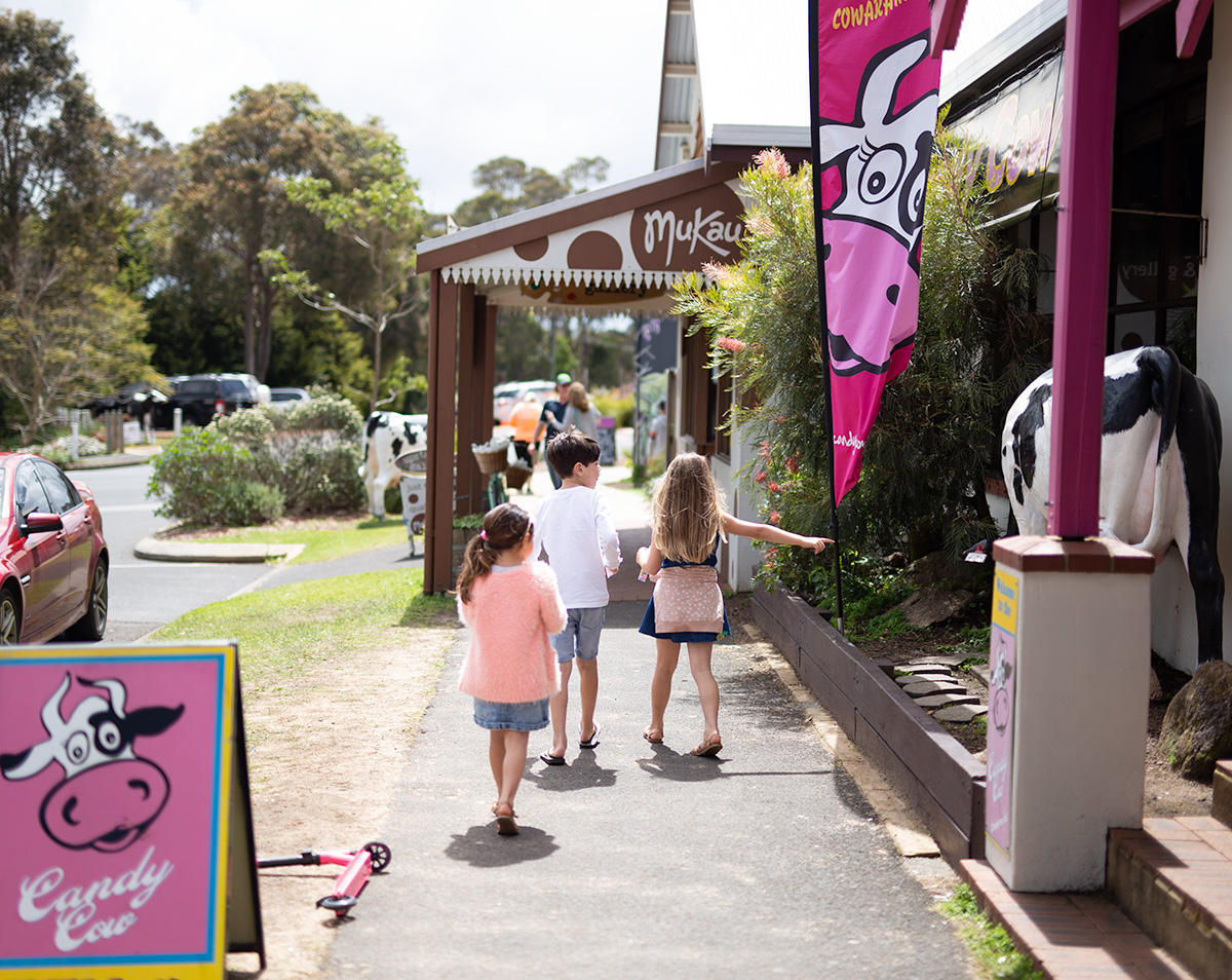 Cowaramup WA Cowaramup Cows Margaret River Region