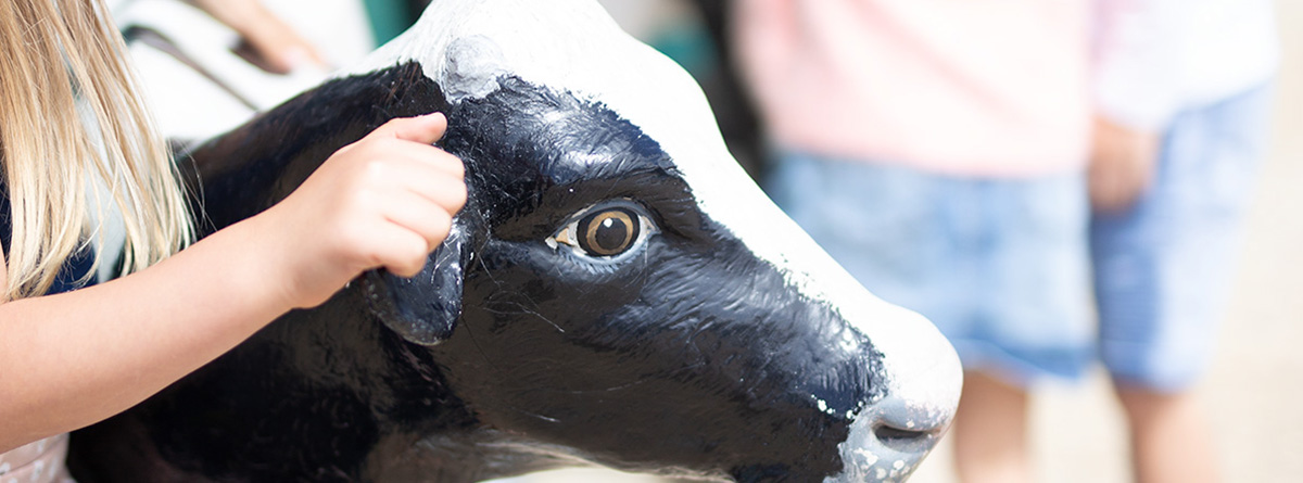 Cowaramup - Cow Town - Margaret River Region