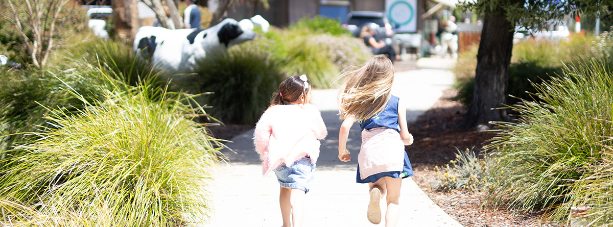 Cowaramup - Cow Town - Margaret River Region