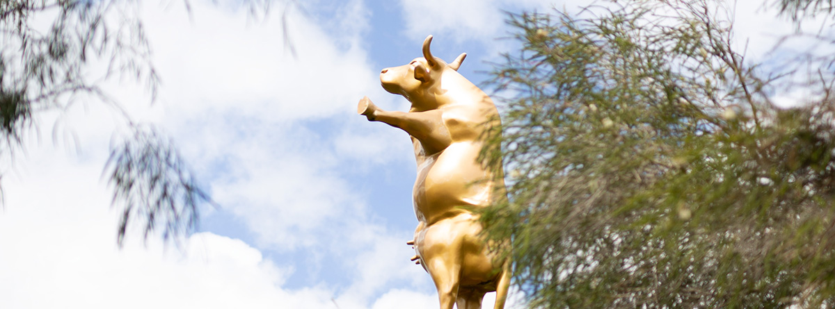 Cowaramup - Cow Town - Margaret River Region